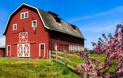 Gambrel Barn - Jem Pole Barn Clarkston, Michigan
