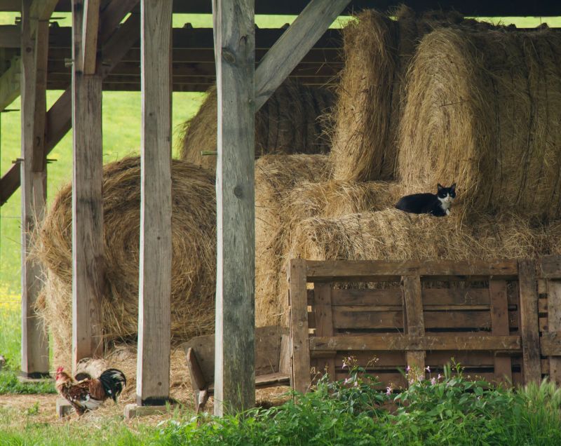 Pole Barn Cost Guide — Cost of pole barn